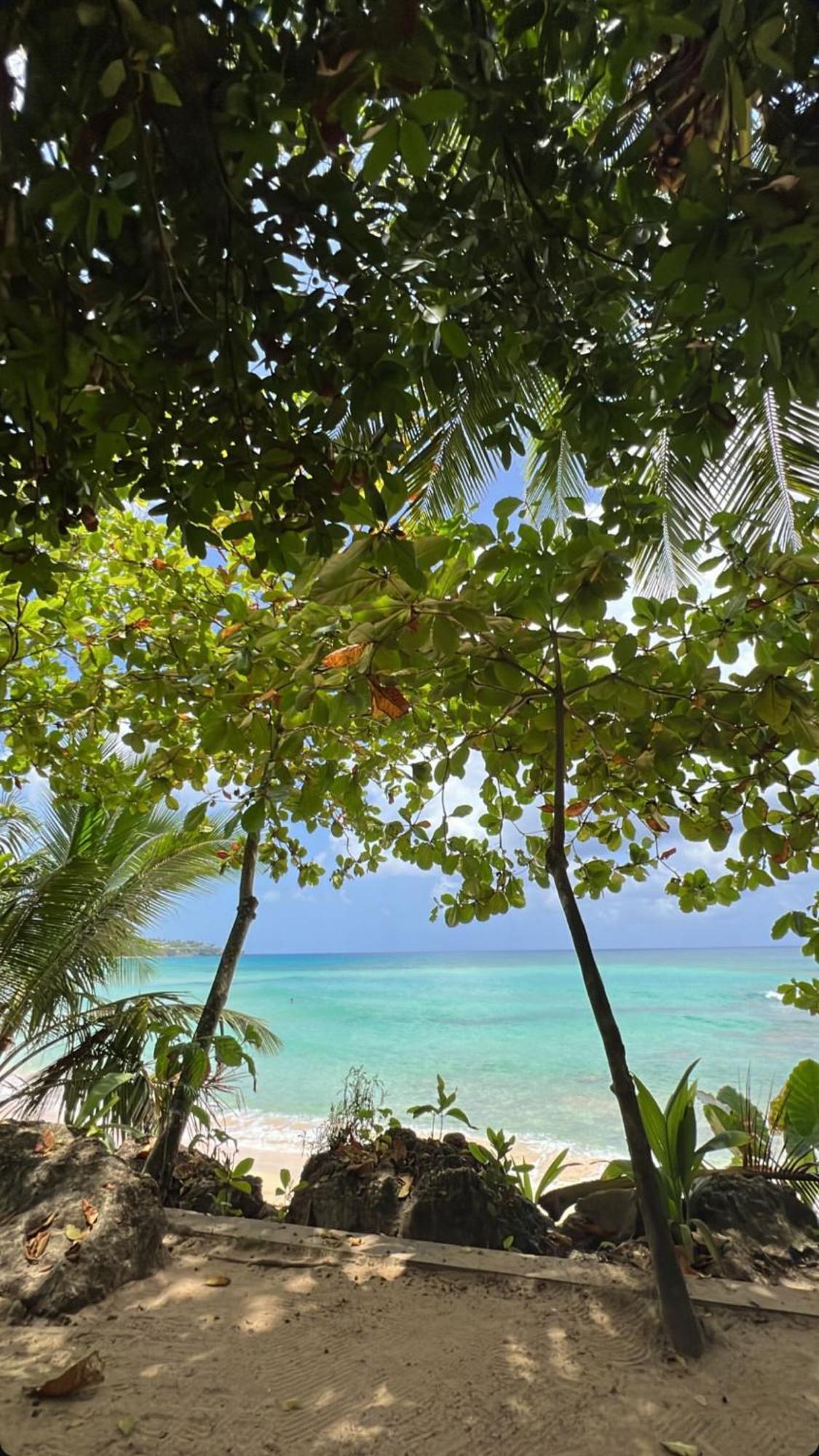 Elegante Apartamento A 100 Mts La Playa De Los Minos Rsj Río San Juan Eksteriør billede